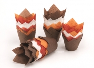 ΦΟΡΜΕΣ TULIP 